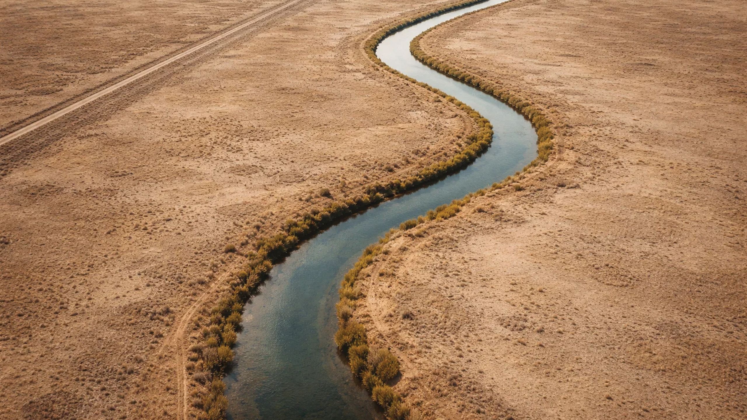 No Time Wasted: How ants, stars, and everything else choose the fastest route